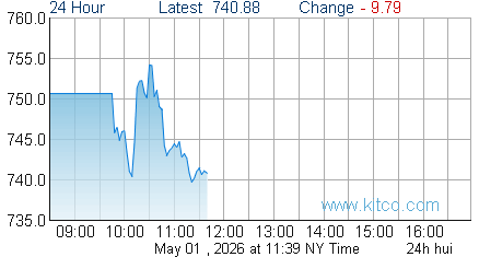 HUI Index
