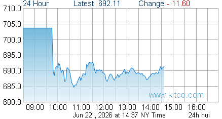 HUI Index