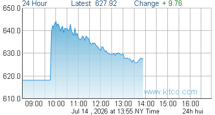 HUI Index