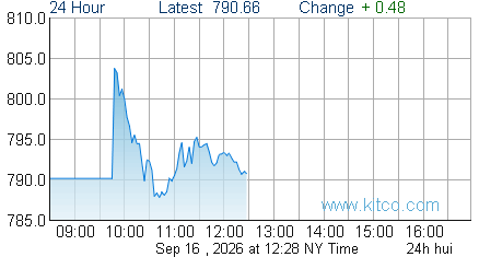 HUI Index