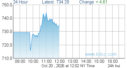 HUI Index